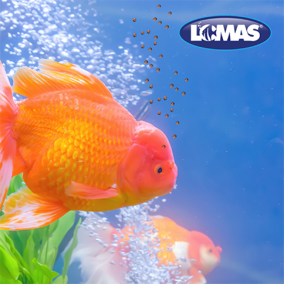 Alimento Para Peces Betta 8 Gramos