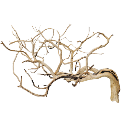 Raíz Tronco Curado para Acuarios Manzanita Branched 