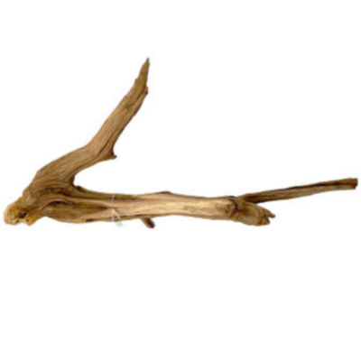 Raiz Manzanita para Acuario o Terrarios Chica