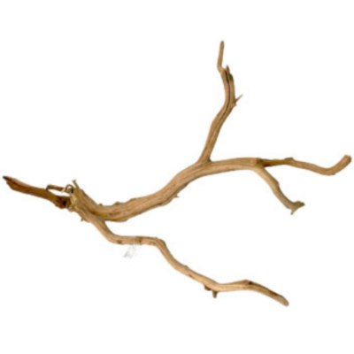 Raiz Manzanita para Acuario o Terrarios Grande