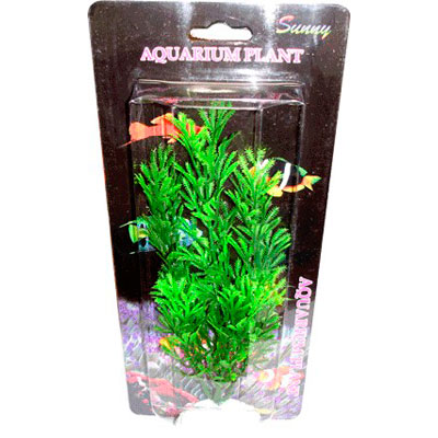PLANTAS PLASTICO Y MANGLARES