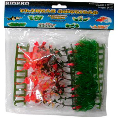 PLANTAS PLASTICO Y MANGLARES
