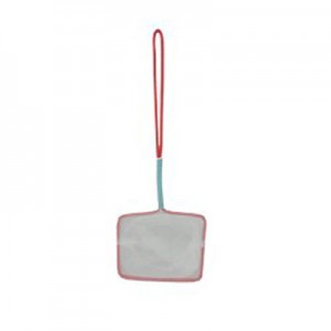 Red Economica