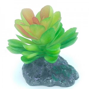 AD. SUCULENTA #2 7X7X6 CM.
