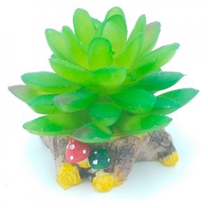 AD. SUCULENTA #3 8X8X7 CM.