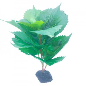 PLANTA PLAS. # 3 20X20X23 CM.